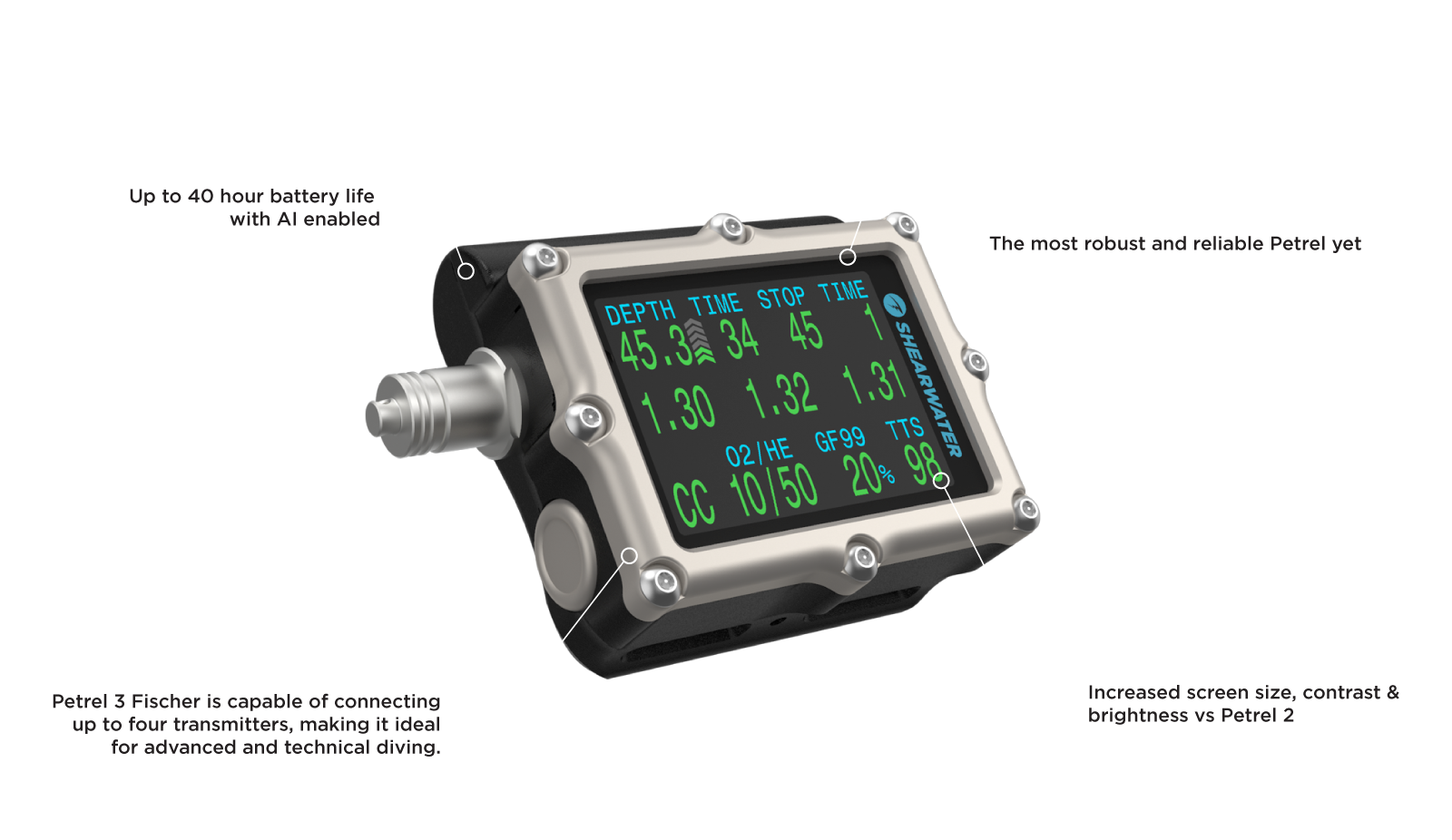 Shearwater Petrel 3 Fischer