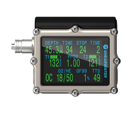 Shearwater Petrel 3 Fischer