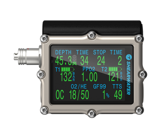 Shearwater Petrel 3 Fischer